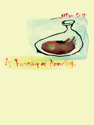 cover image of A History of Amnesia